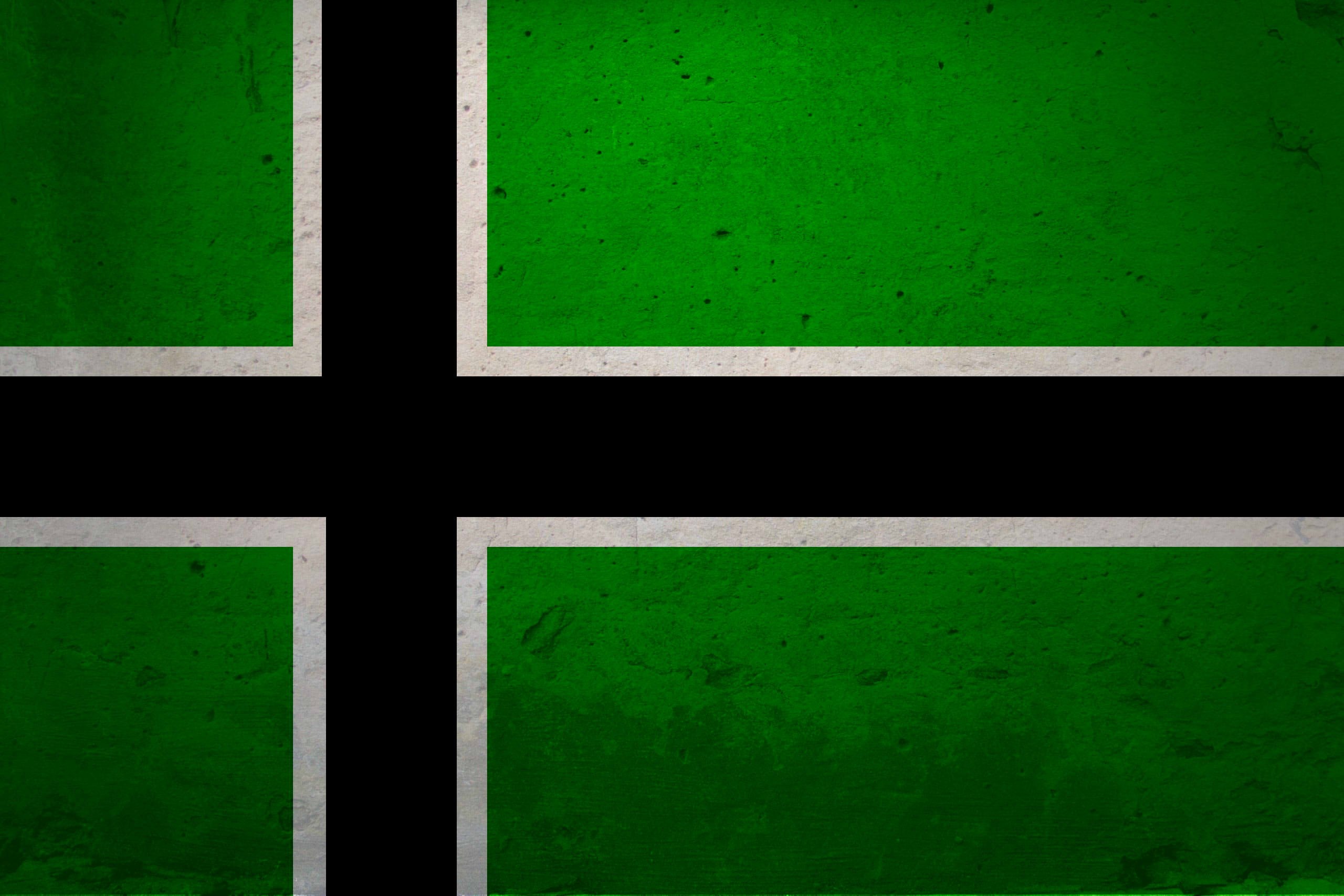 Правые левые зеленые. Type o negative флаг. Type o negative флаг зеленый с черным крестом. Зеленый флаг. Флаг с крестом.