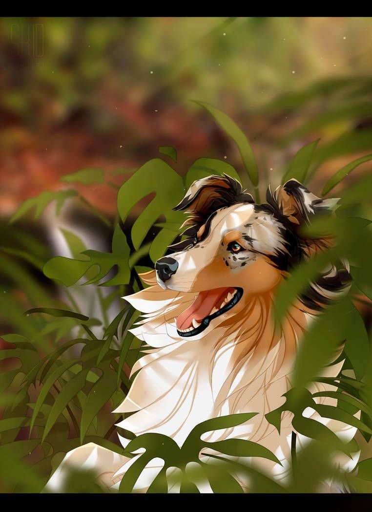 Alice Hill furry