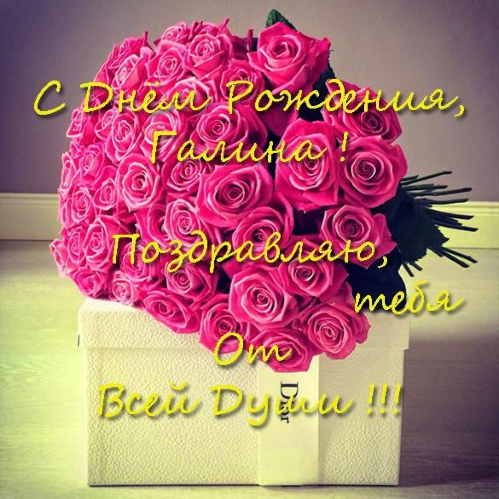 Галина Владимировна с днем рождения