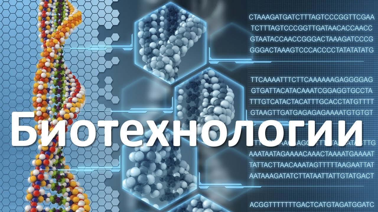 Биотехнология это в биологии 10 класс.