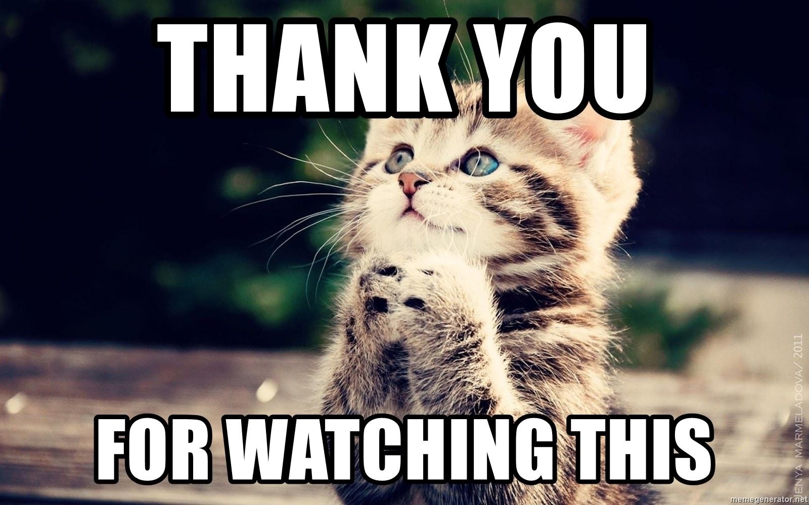 Best to watch me. Cats gif thank you for. Thank you mtmt Cat. Thank you for attention gif Cats. Thanks for watching meme Cats.