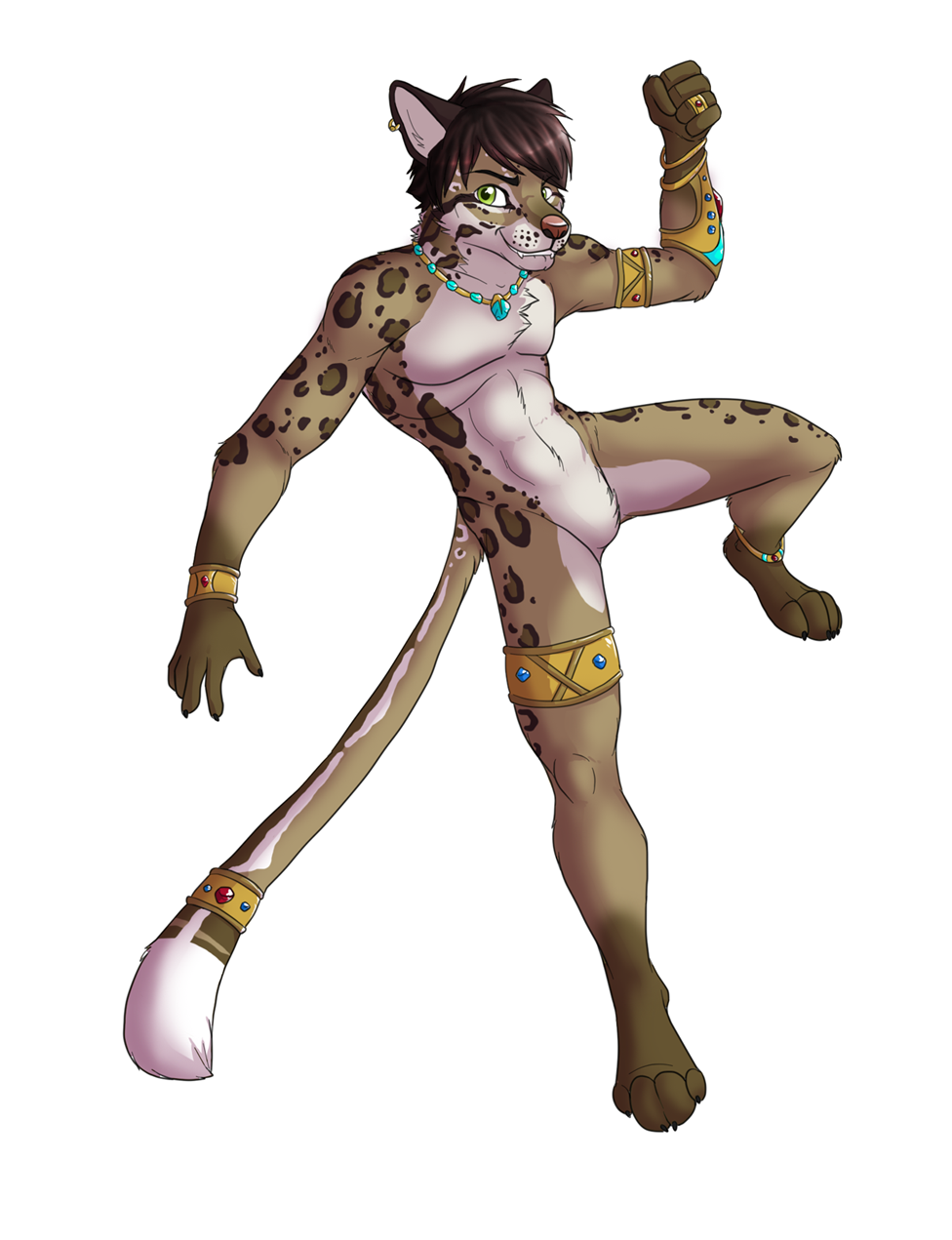 TG TF Transformation Cat