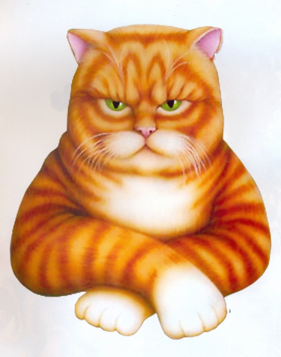 Котик на белом фоне