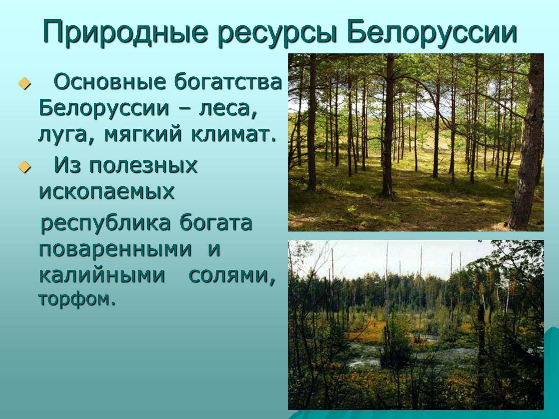 Беларусь конспект. Беларусь презентация. Проект Белоруссия. Проект на тему Белоруссию. Доклад на тему Беларусь.