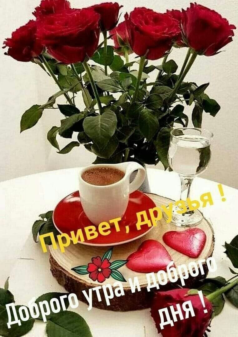 С добрым утром цветы красивые