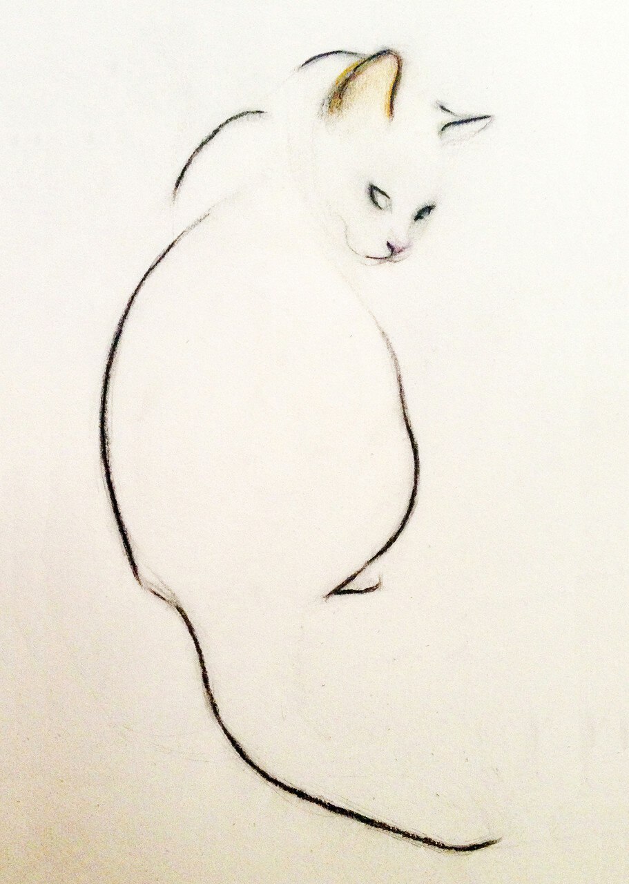 Kellas Campbell кошки