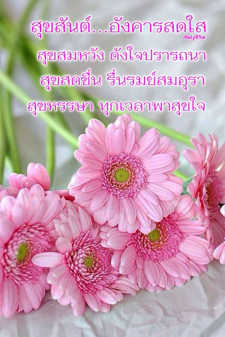 С днем рождения девушке герберы