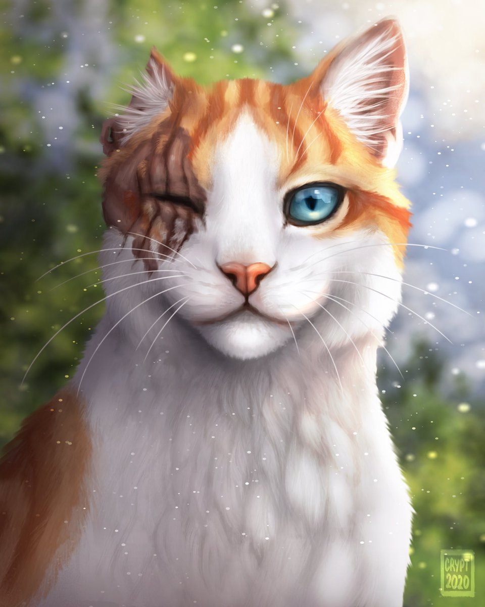 Коты Воители безлайн