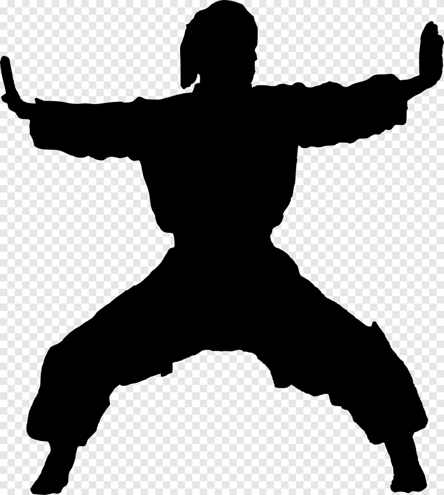 Ушу силуэт