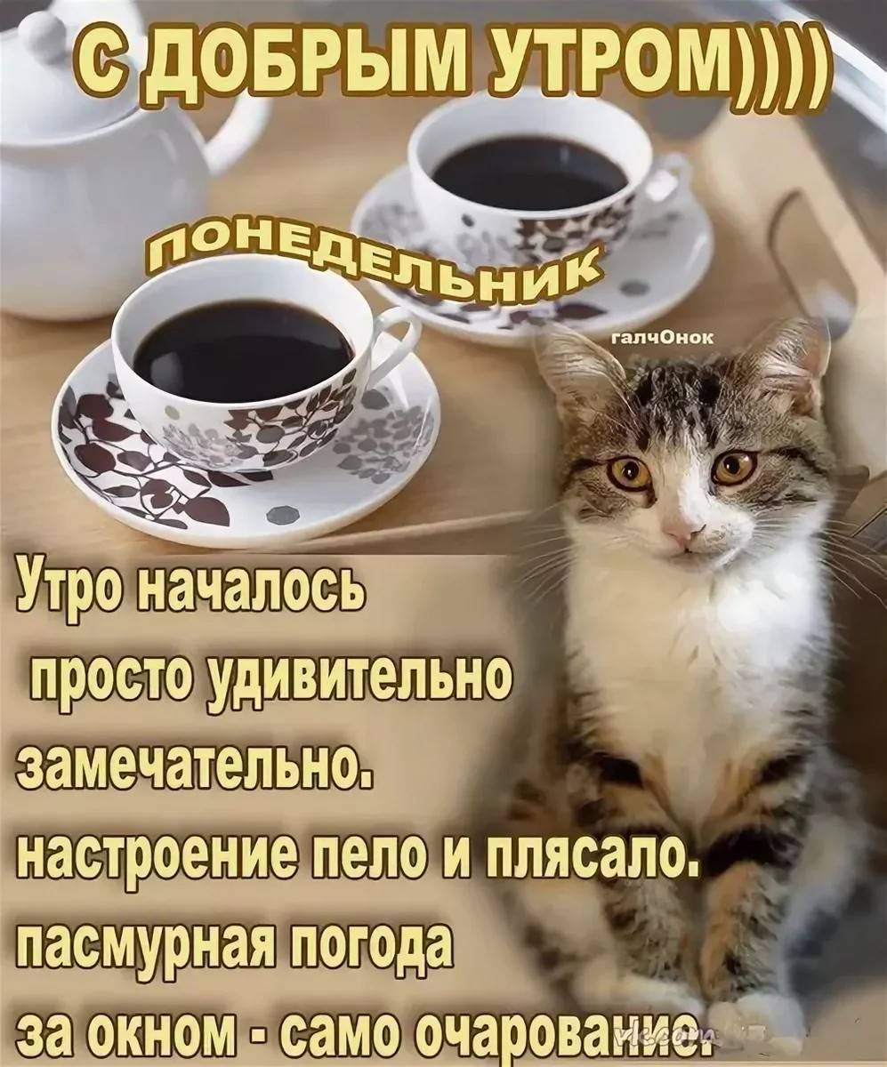 Открытки с понедельником