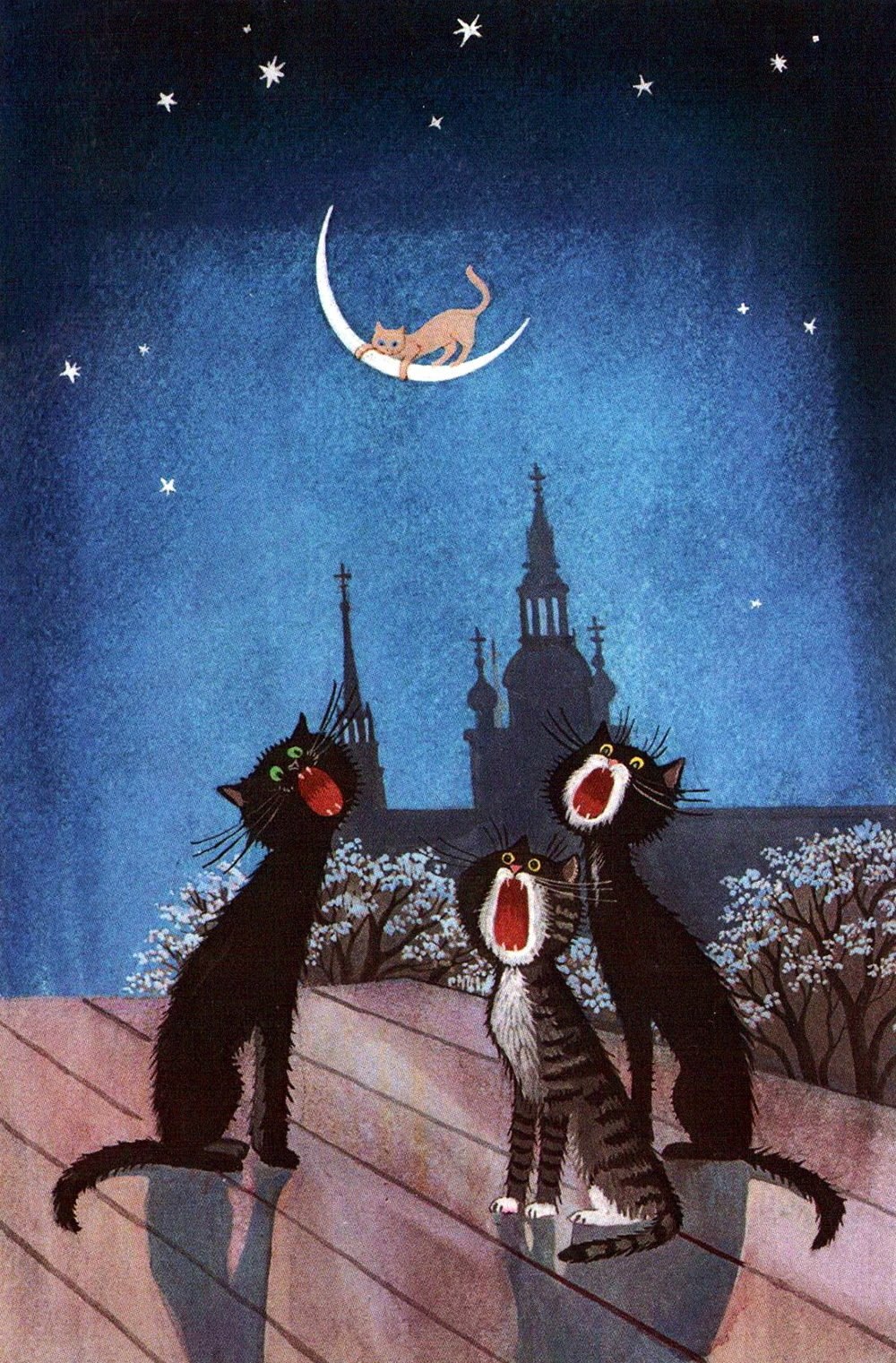 Коты на крыше ночью