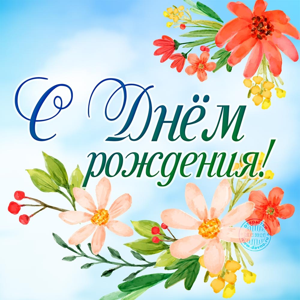 Софие годик