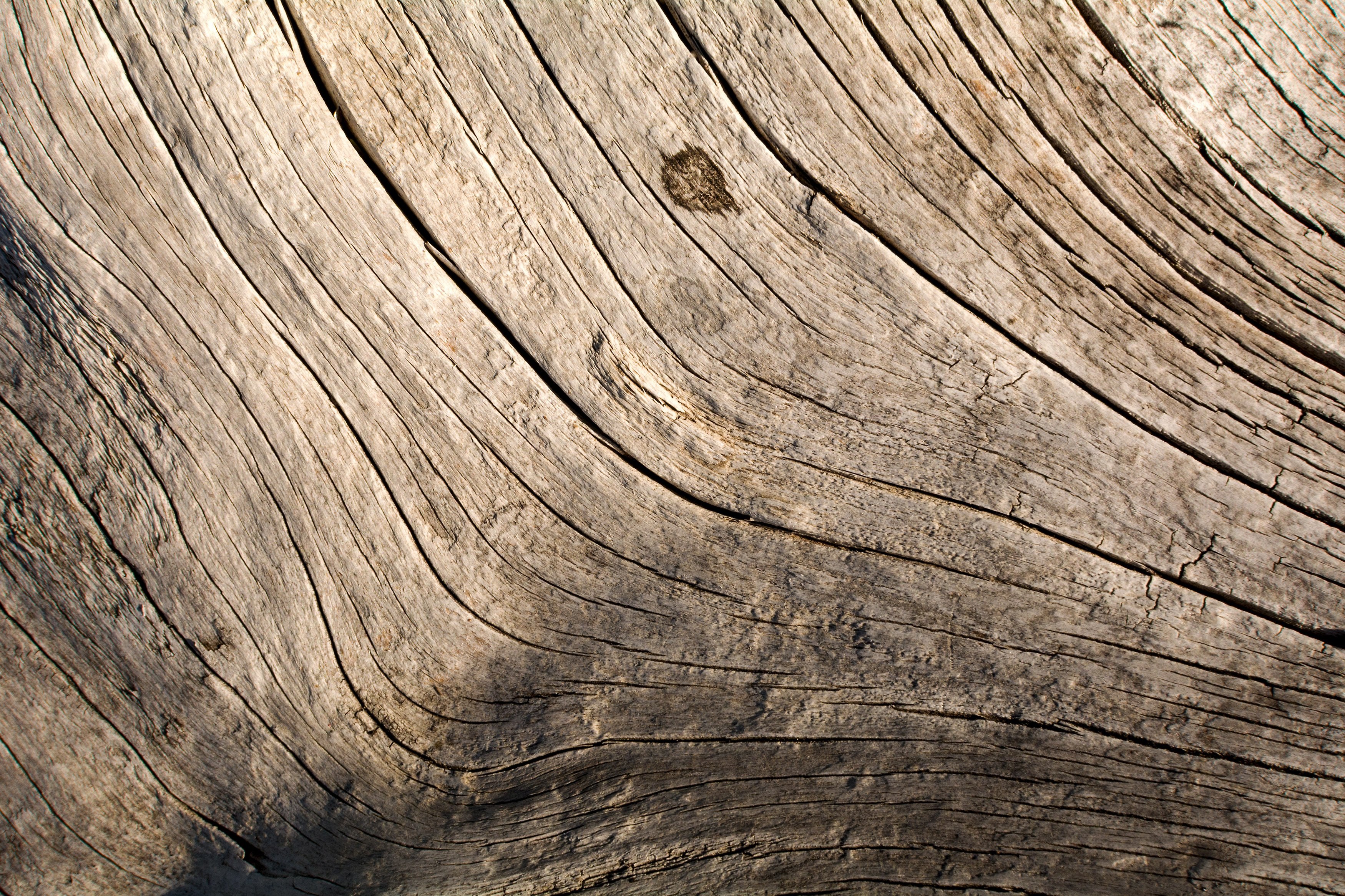 Wood. Фактура дерева. Текстура древесины. Текстурированное дерево. Материал старое дерево.
