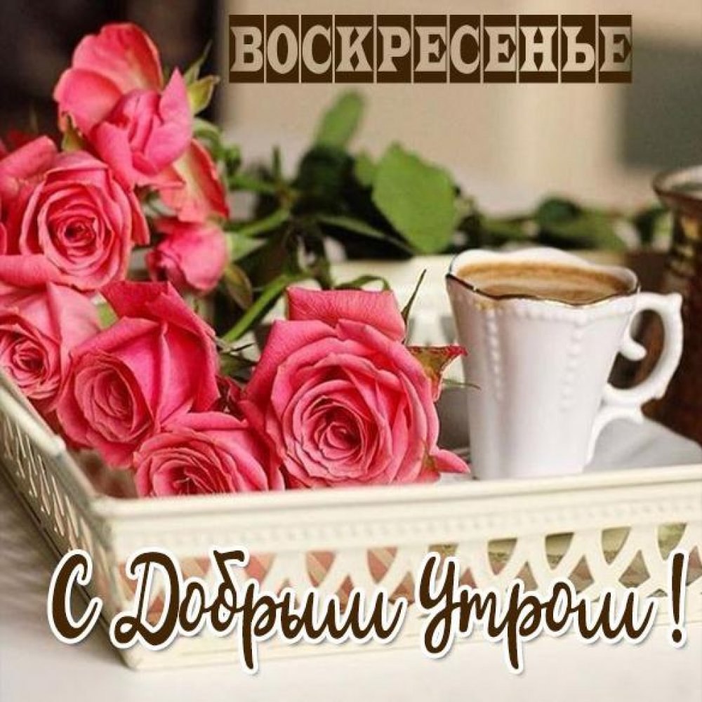 Хорошего воскресенья