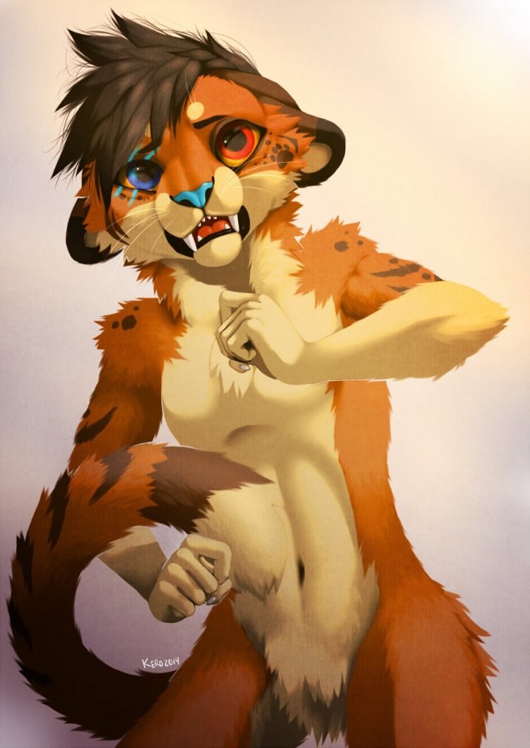 Thanshuhai Fox фурсьют