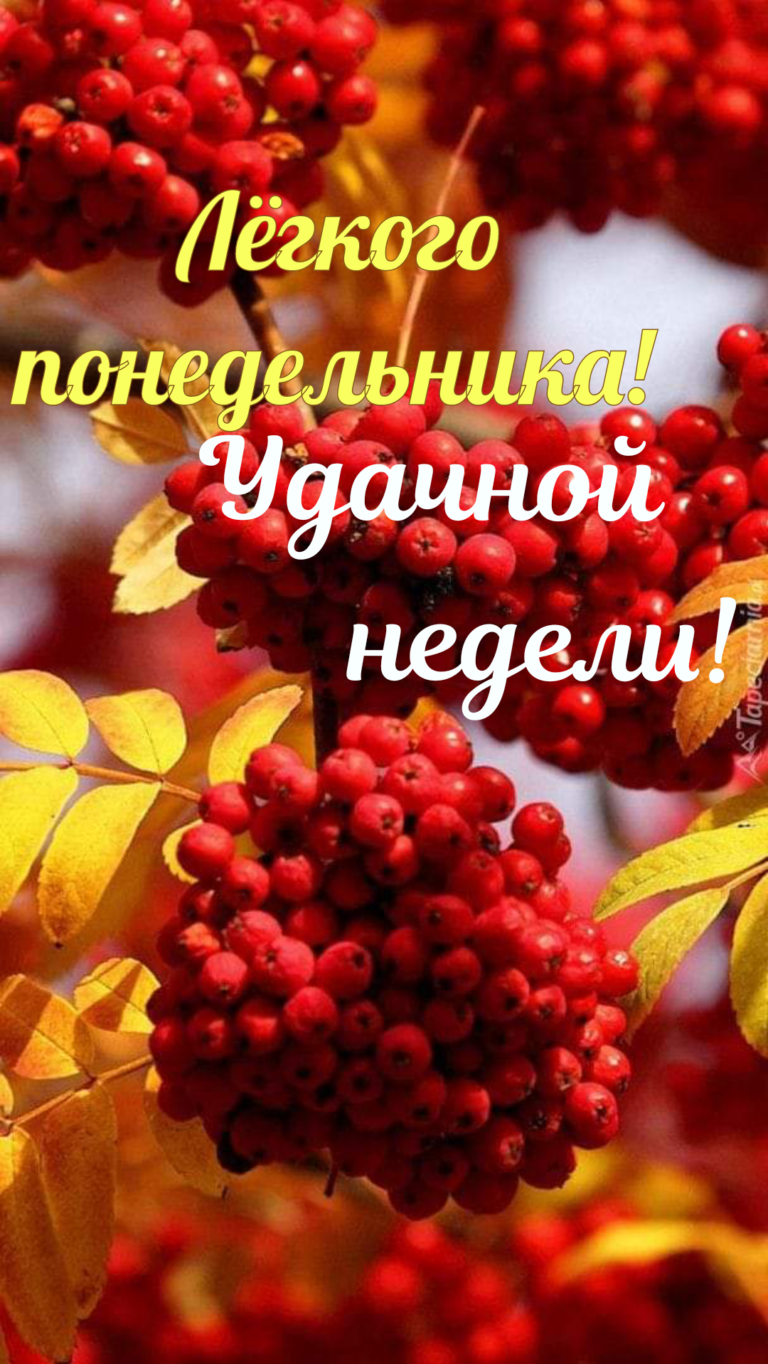 Легкого понедельника осень