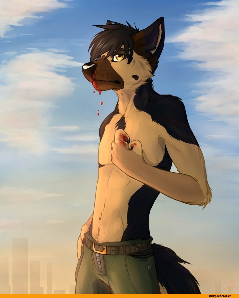 Фурри canine
