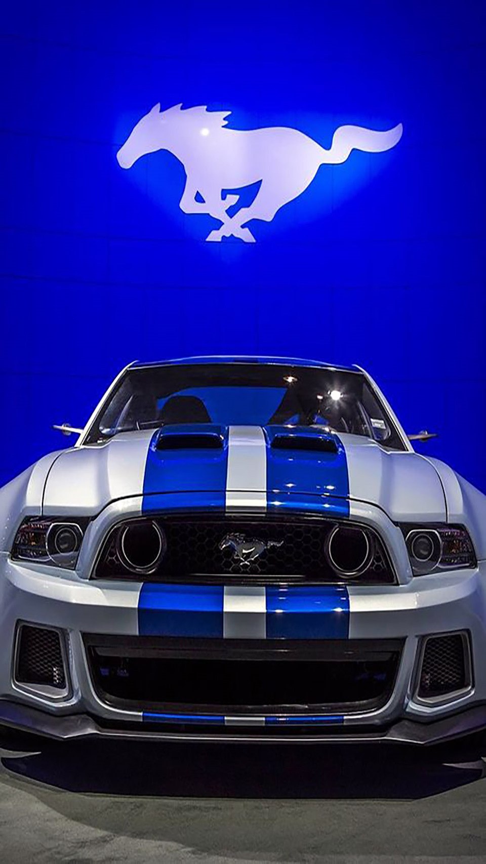Форд Мустанг gt 500
