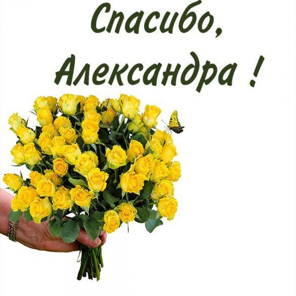 Благодарность с цветочками