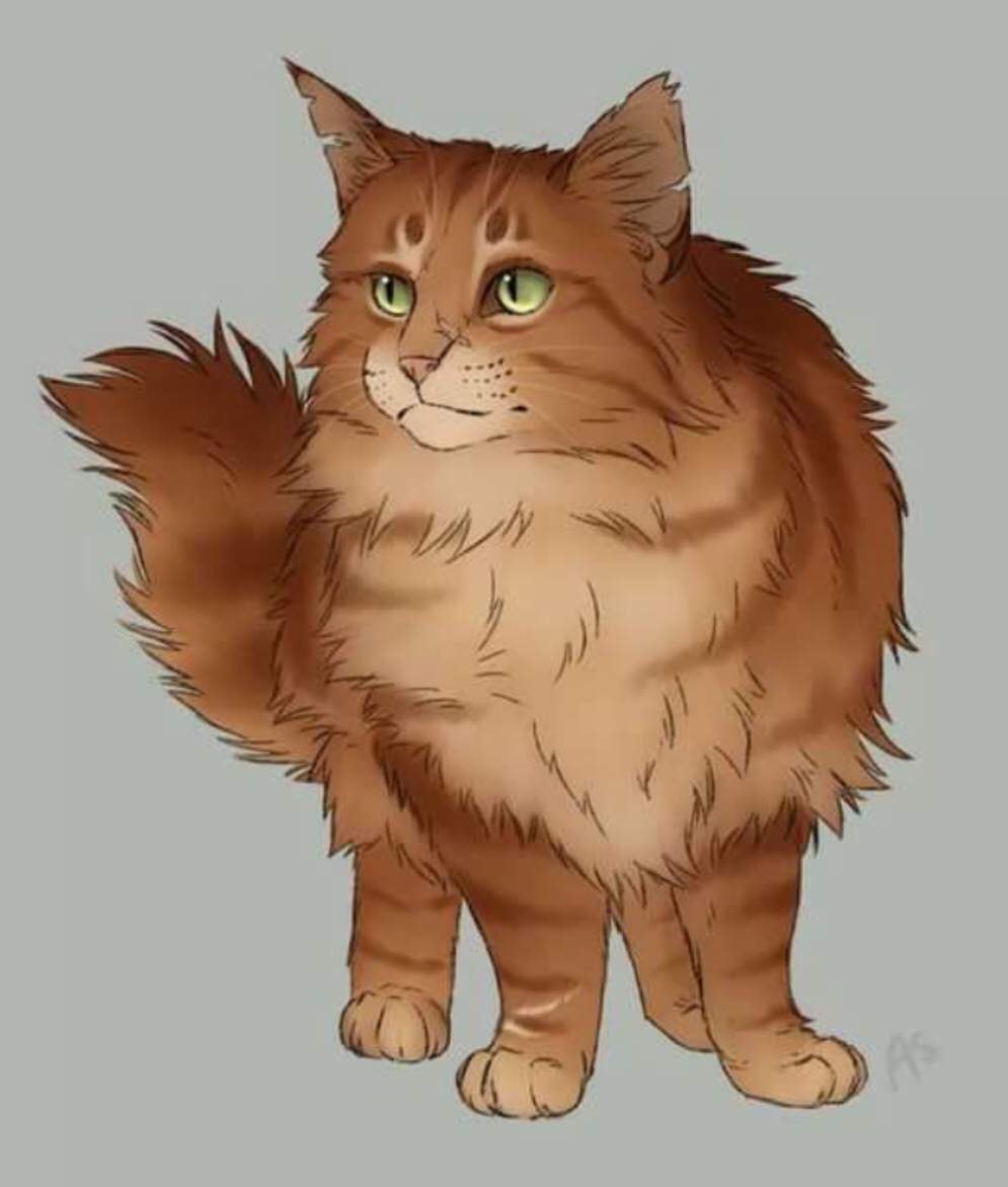 Jayfeather коты Воители