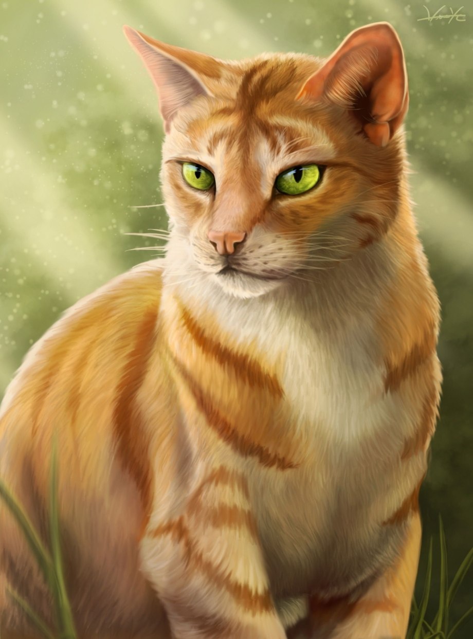 Коты Воители мотолынка