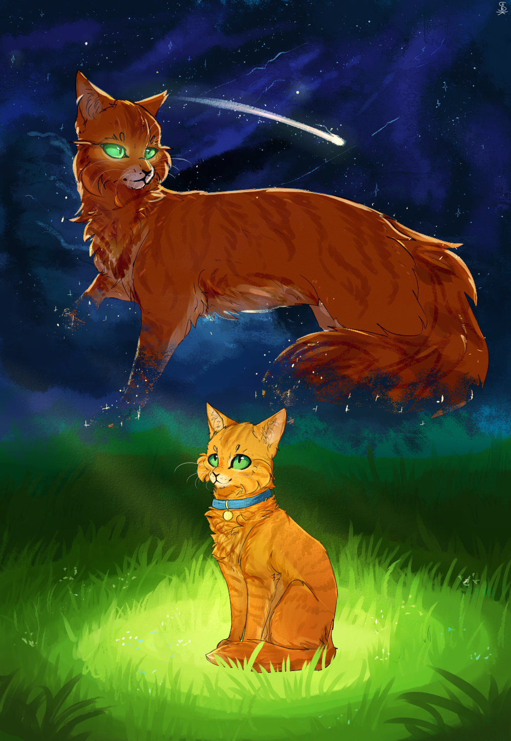 Рябинник коты воители