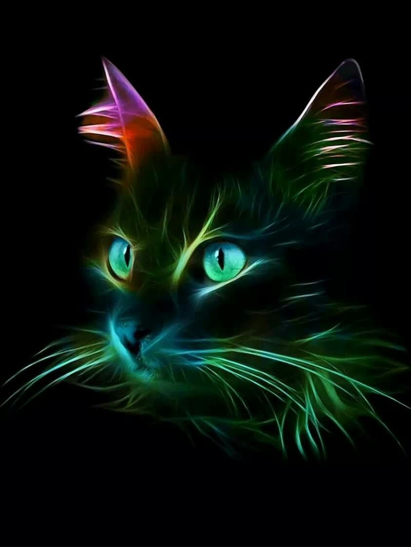 Неоновая кошечка