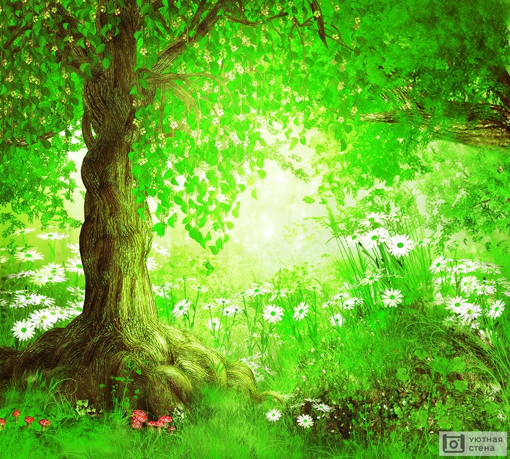 Сказочный лес