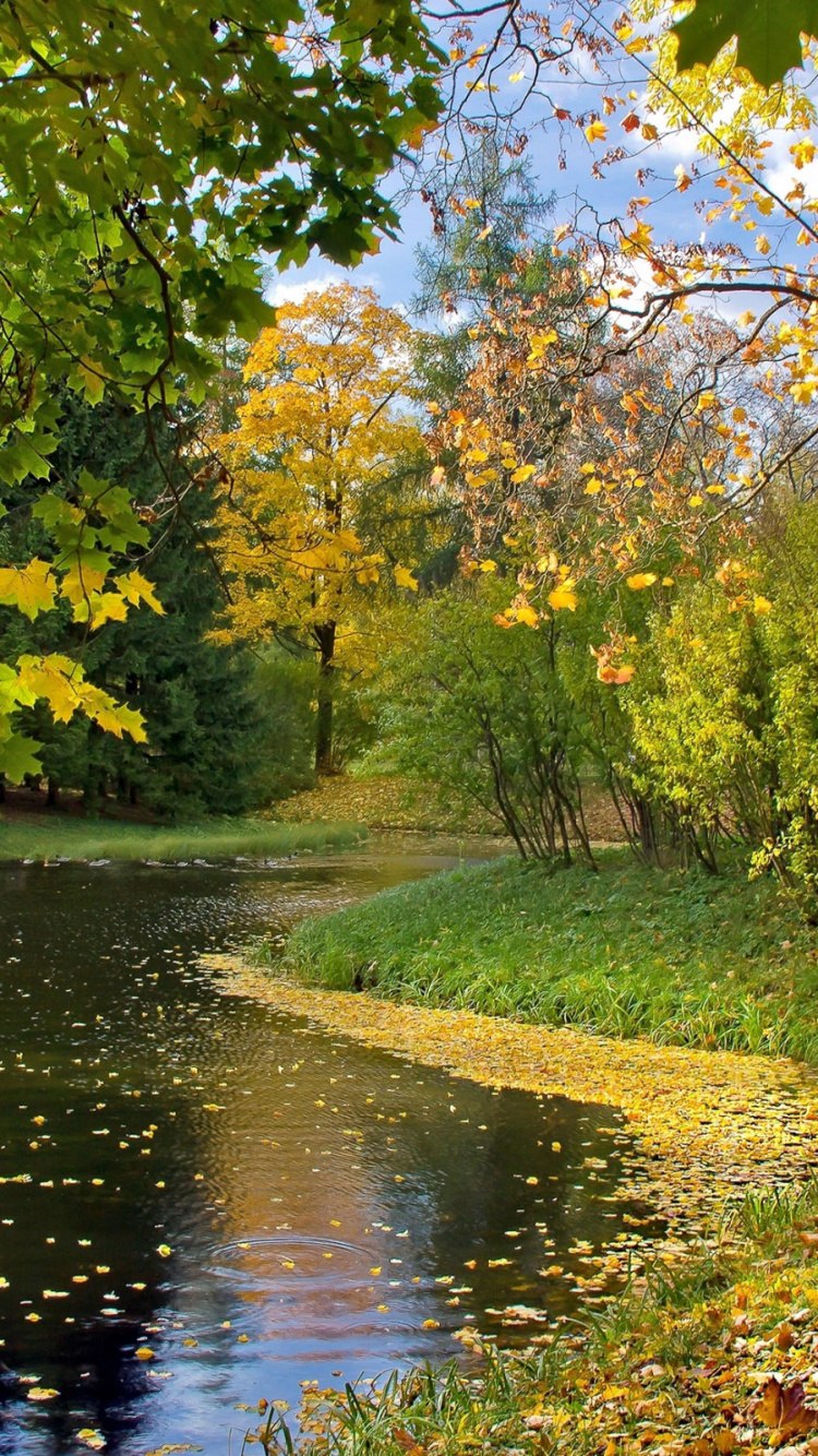 Красивая осень