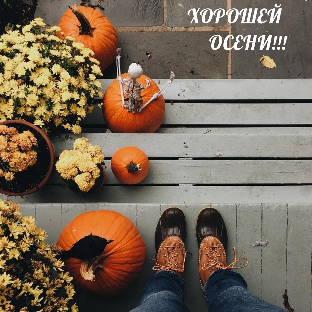 Уютная осень