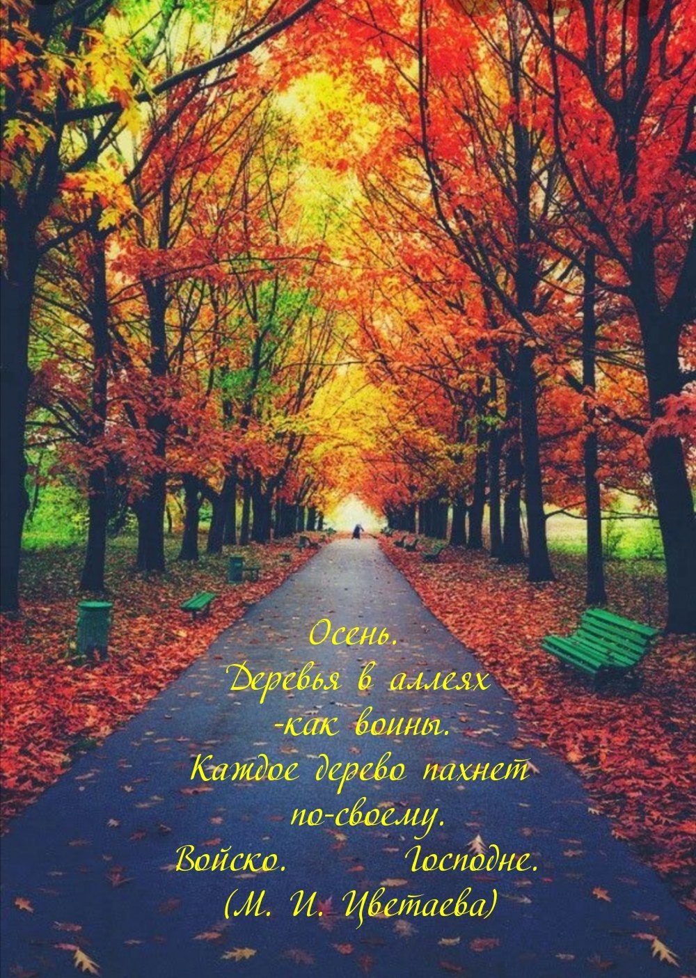 Октябрь природа