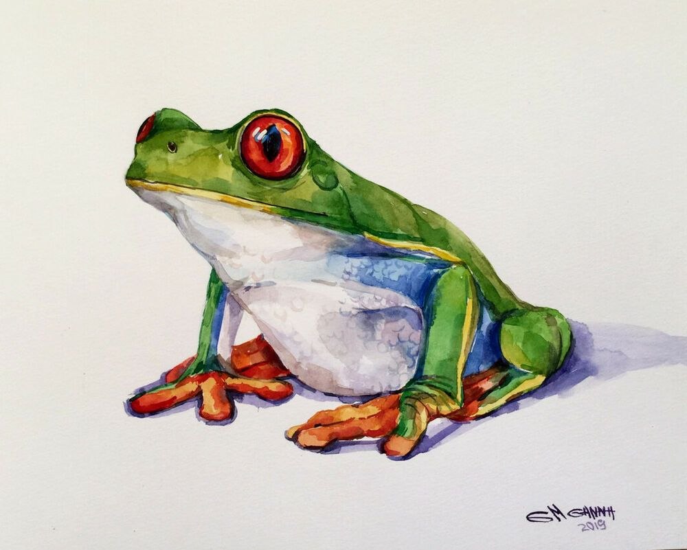 Лягушка рисунок