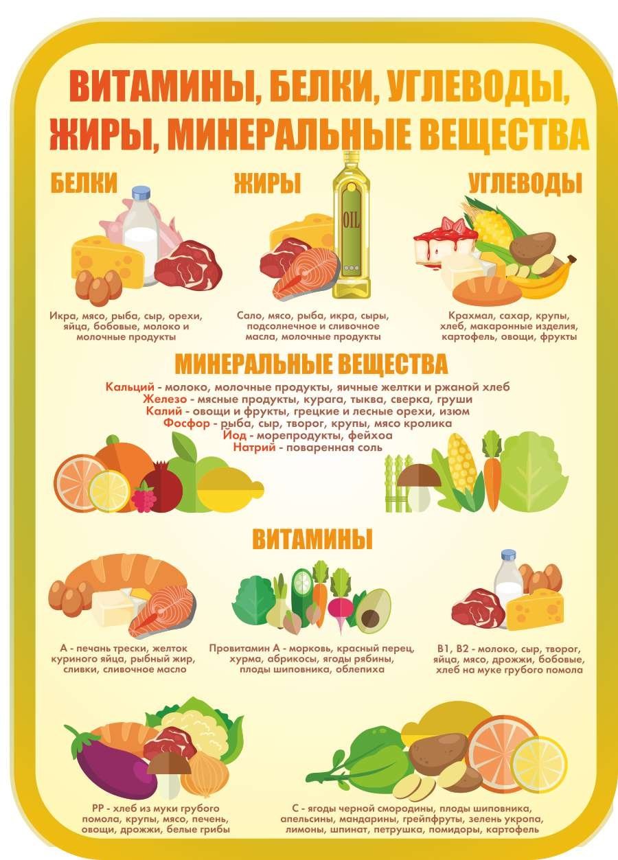 Водорастворимые витамины витамины таблица