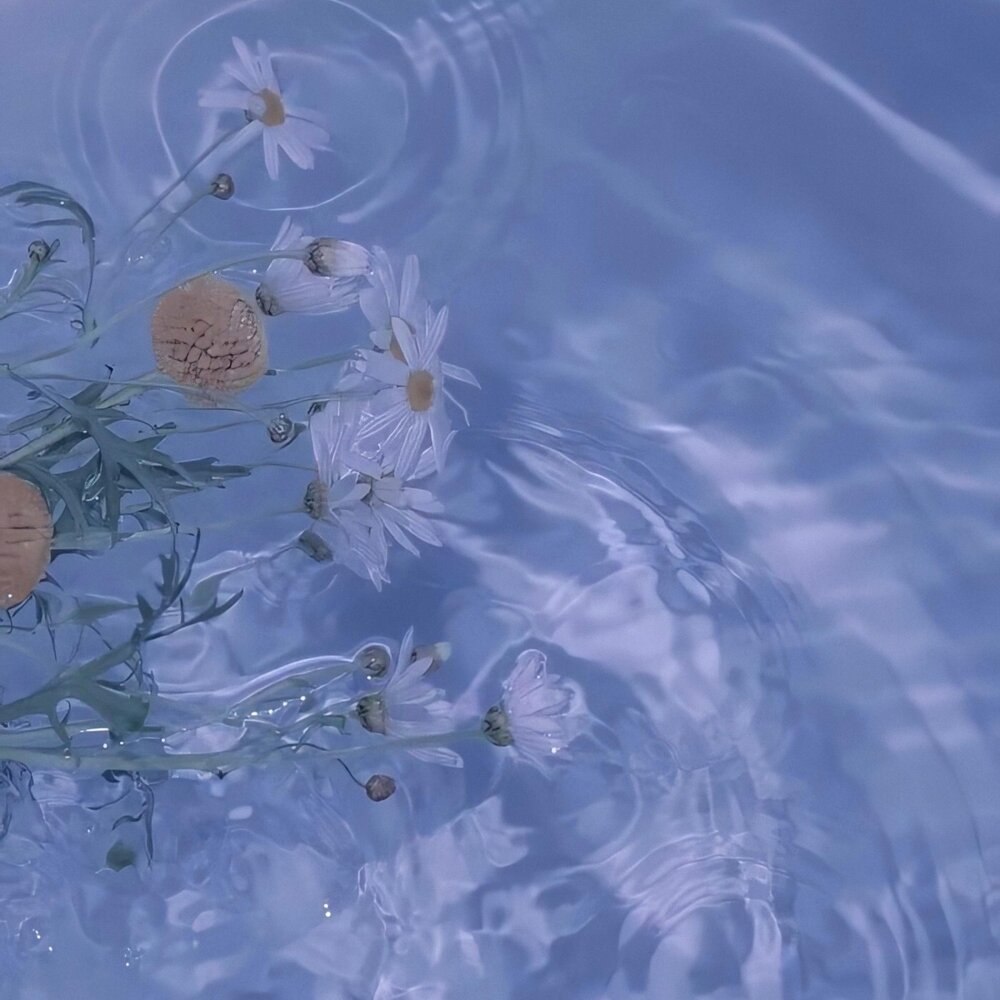 Розовая вода Эстетика