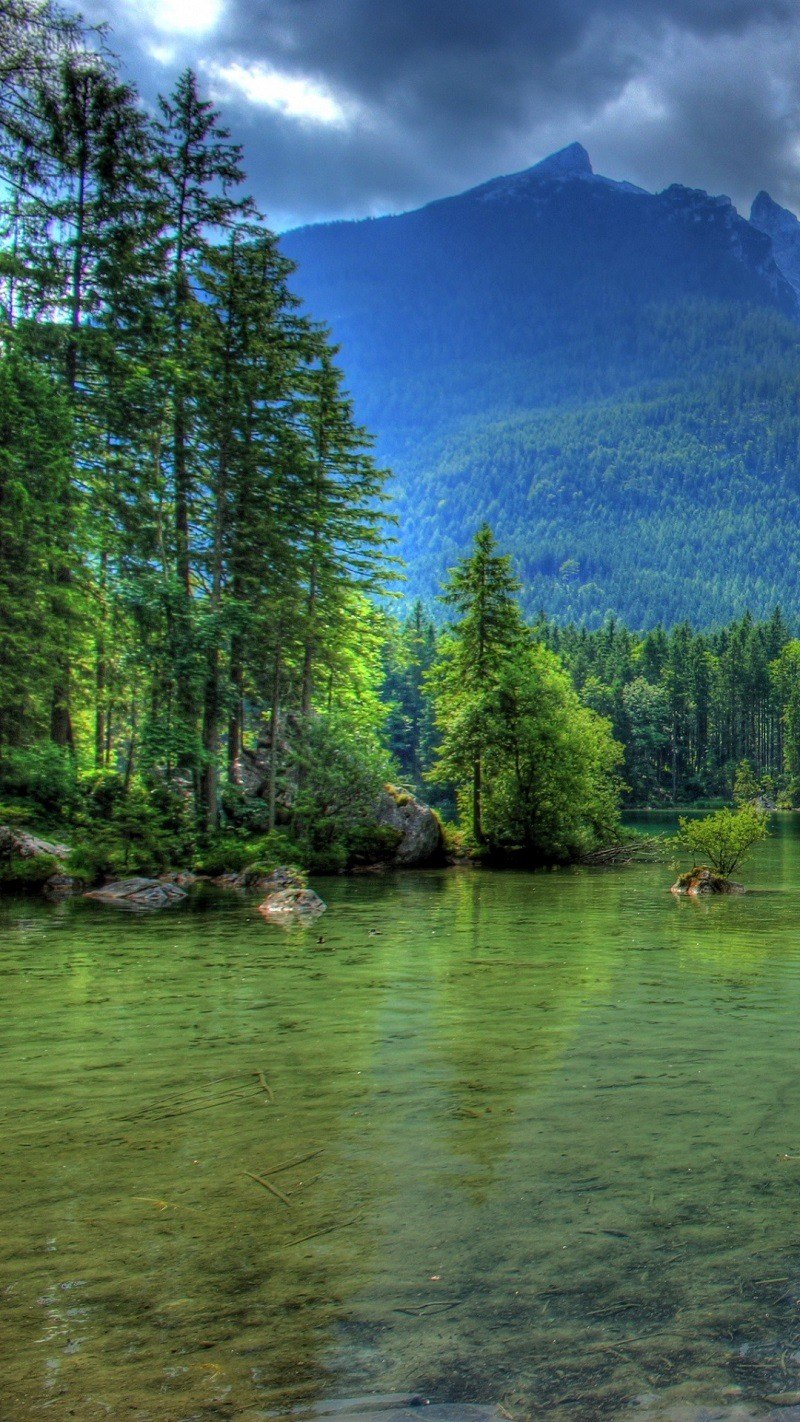 Природа вертикальные