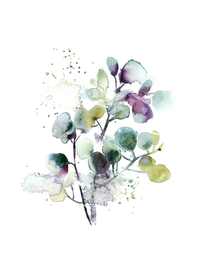 Eucalipto Watercolor