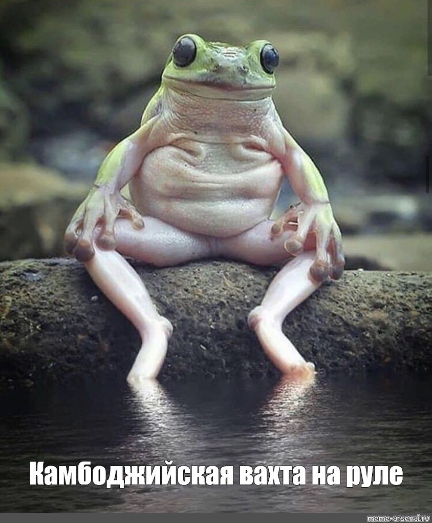 Три лягушки подружки