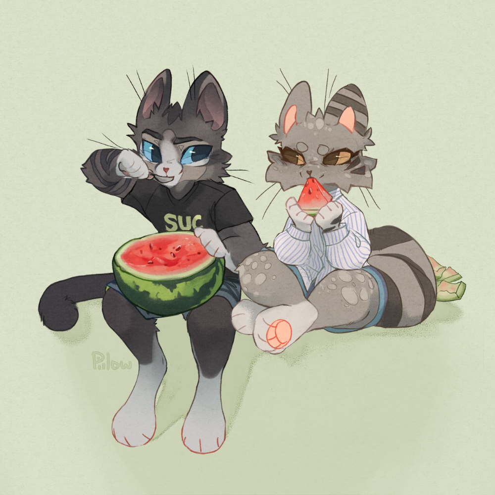 GRAYPILLOW коты Воители