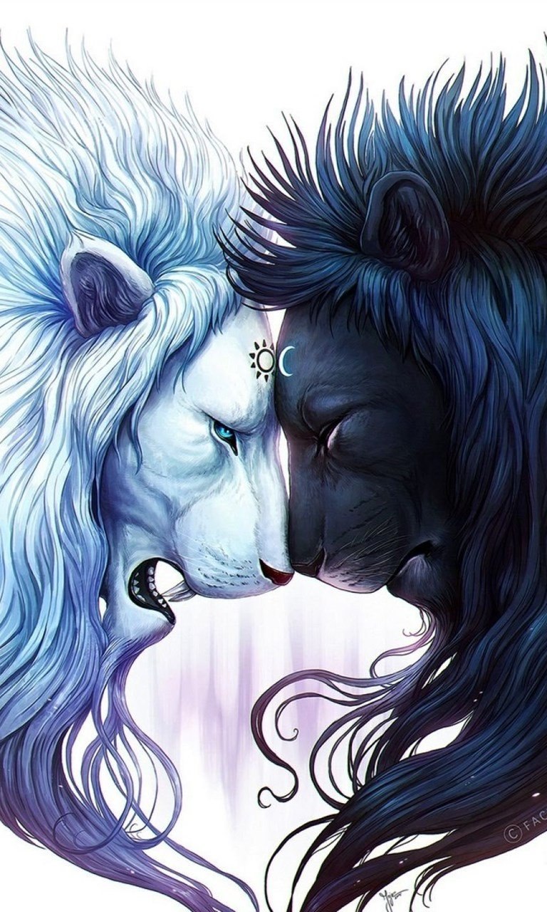 Кошки любовь