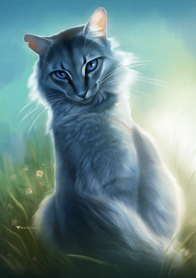 Коты воители синеглазка