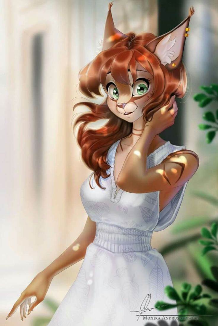 Фурии кошки
