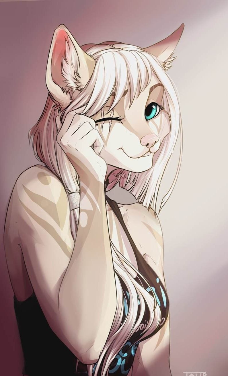 Фурии кошки