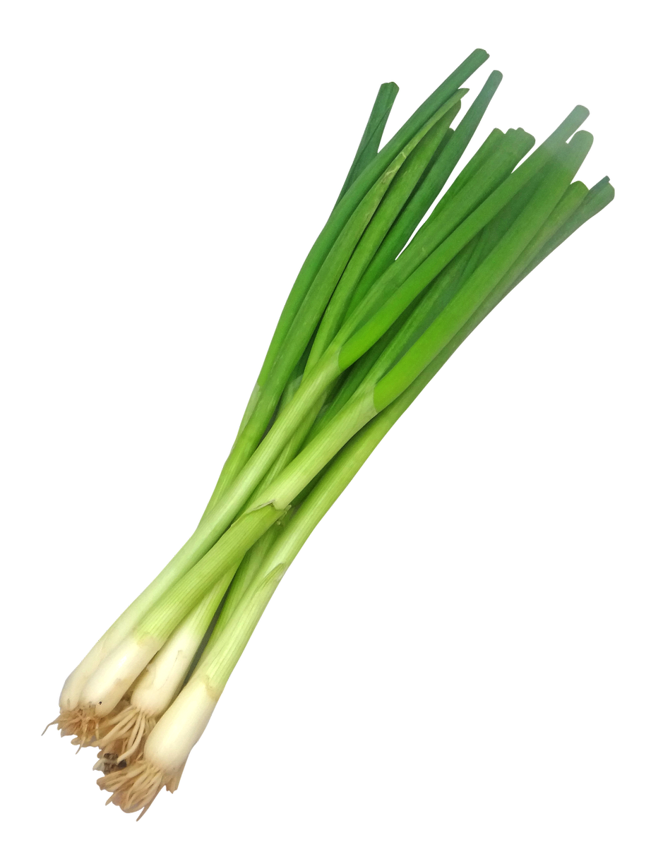 Лук шалот вектор