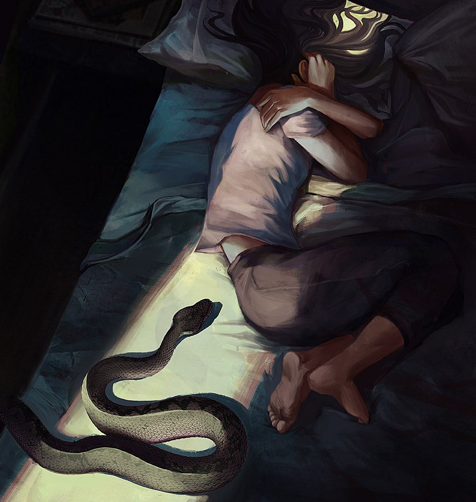 приснилась змея под кроватью