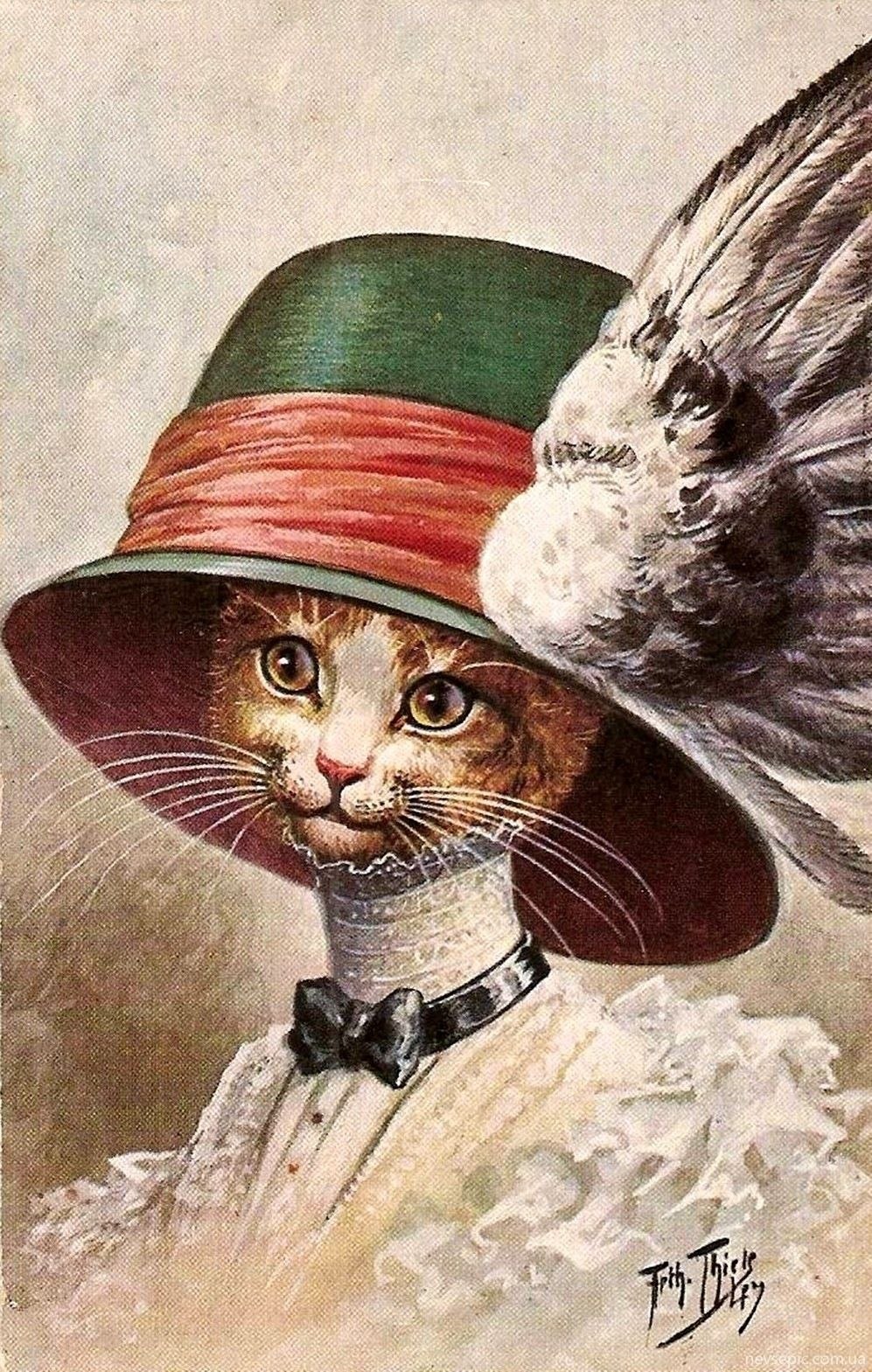 Обои со шляпой котом