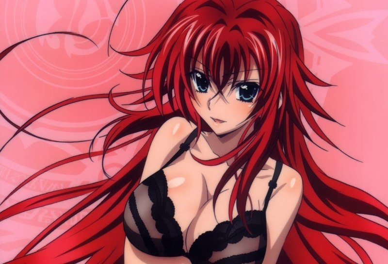 Старшая школа DXD Риас