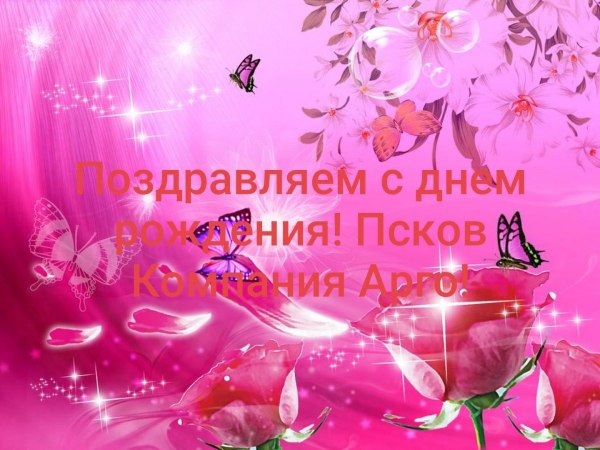 Портфолио с бабочками