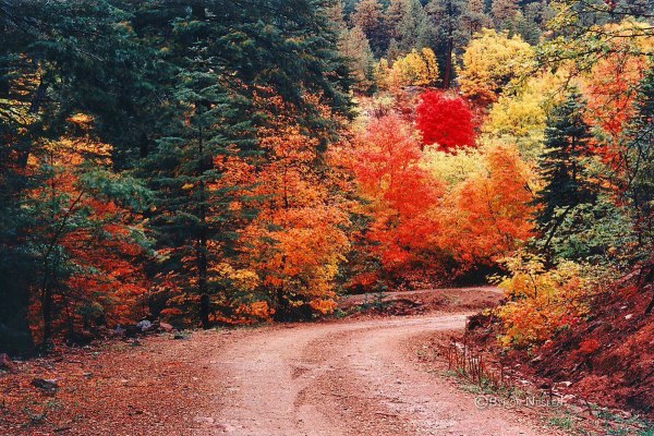 Осень Эстетика