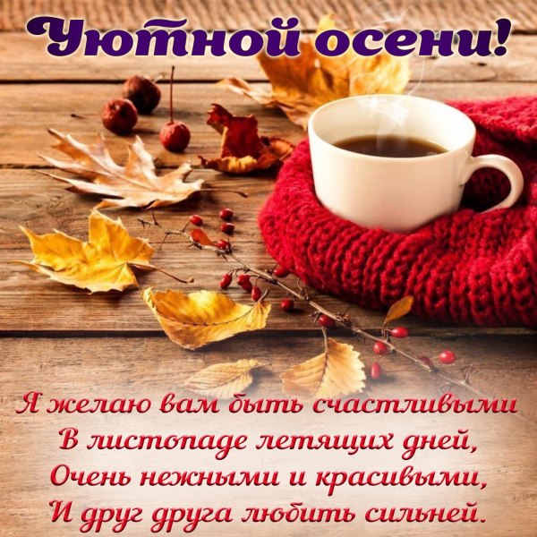 Доброе утро прекрасного дня