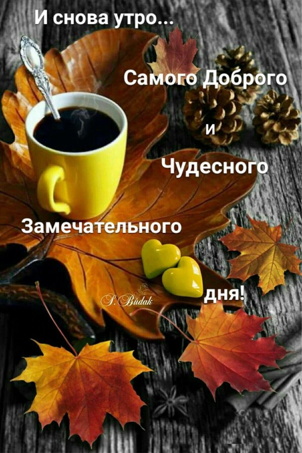 Доброго бодрого понедельника